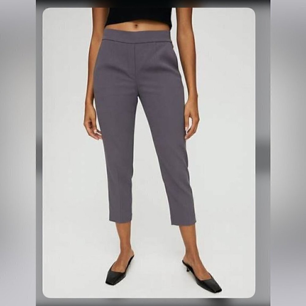Aritzia cropped slim-leg trousers pants elastic back waist front darts sz 2 gray